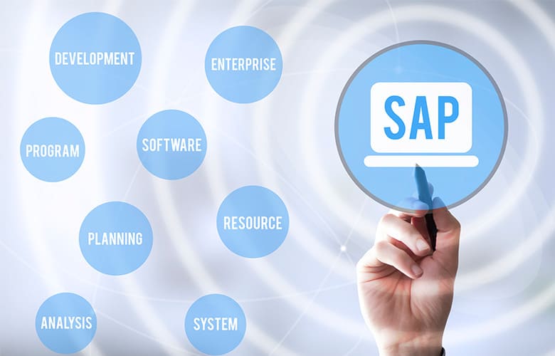 元sap社員が語る Sapコンサルタントの将来性 ハイパフォコンサル フリーランスコンサルタントの案件紹介