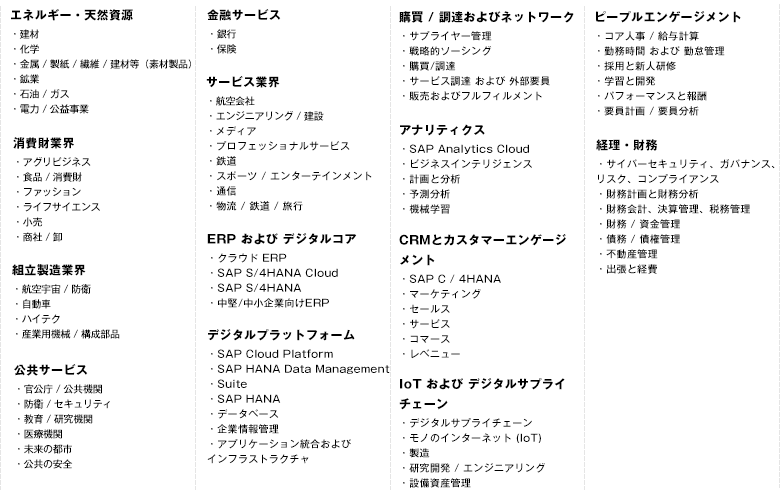 元sap社員が語る Sapコンサルタントの将来性 ハイパフォコンサル フリーランスコンサルタントの案件紹介